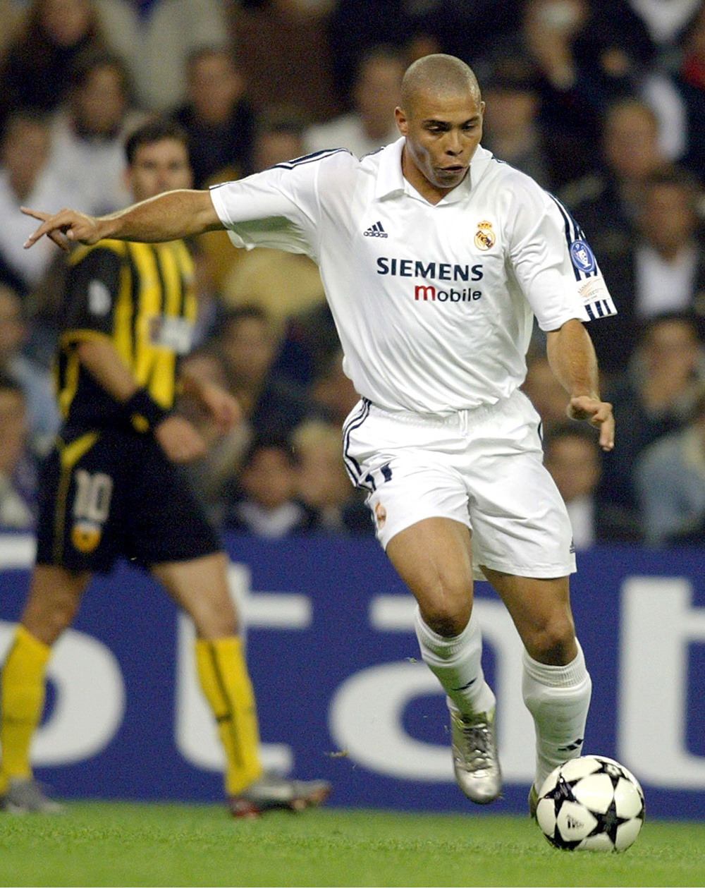 情绪如何影响判断(情绪如何左右判断)